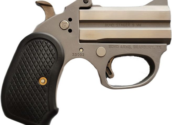 Bond Arms Honey-B Stainless .22 LR 3" Barrel 2-Rounds