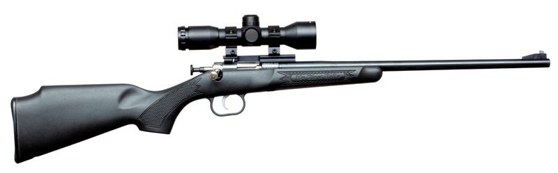 KEYSTONE Crickett 22 LR 16in Black 1rd w/Scope