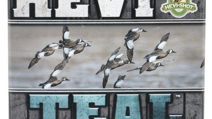 HEVI-Shot HEVI-Teal 20 Gauge 7/8 oz 3in #6 Centerfire Shotgun Ammo, 25 Rounds, HS62006