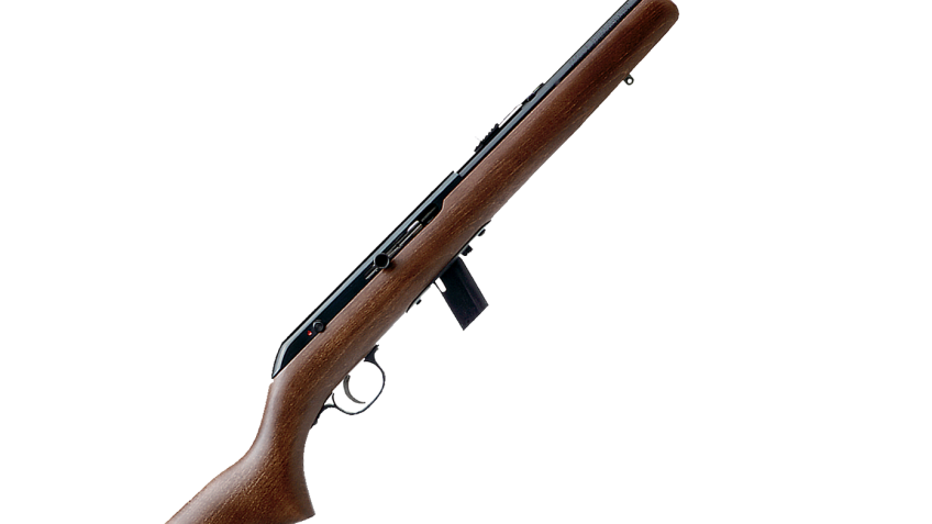 Savage 64 G Semi-Auto Rimfire Rifle