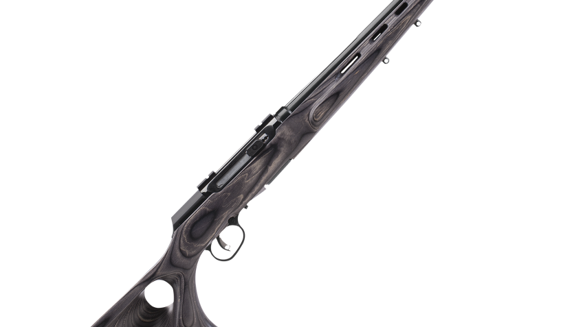 Savage A17 Target Thumbhole Semi-Auto Rimfire Rifle – .17 Hornady Magnum Rimfire