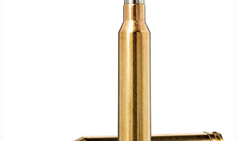 Norma ECOStrike .300 Win Mag 165gr Centerfire Rifle Ammo (20/Box) 20177502