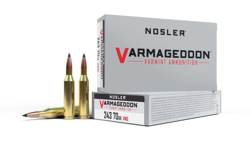 Nosler .243 Winchester, Flat Base Tipped , 70 grain, Brass Cased, 20 Rounds, 61029