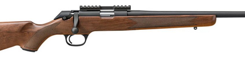 SPRINGFIELD ARMORY MODEL 2020 RIMFIRE .22 LR 20" 10RD SATIN WALNUT