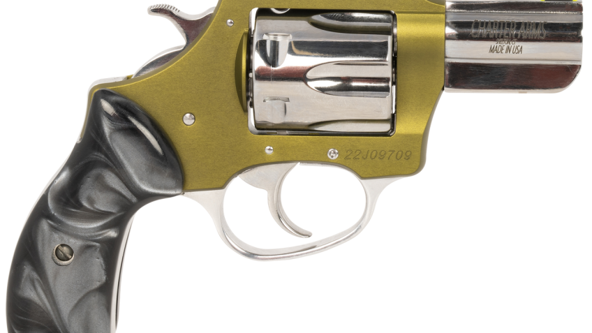 CHARTER ARMS UNDERCOVER II