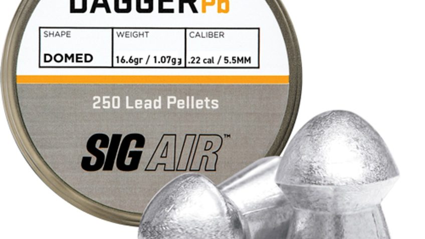 Sig Sauer Dagger 22 Pellet, 16.6gr, Domed Lead, 250rd Pack