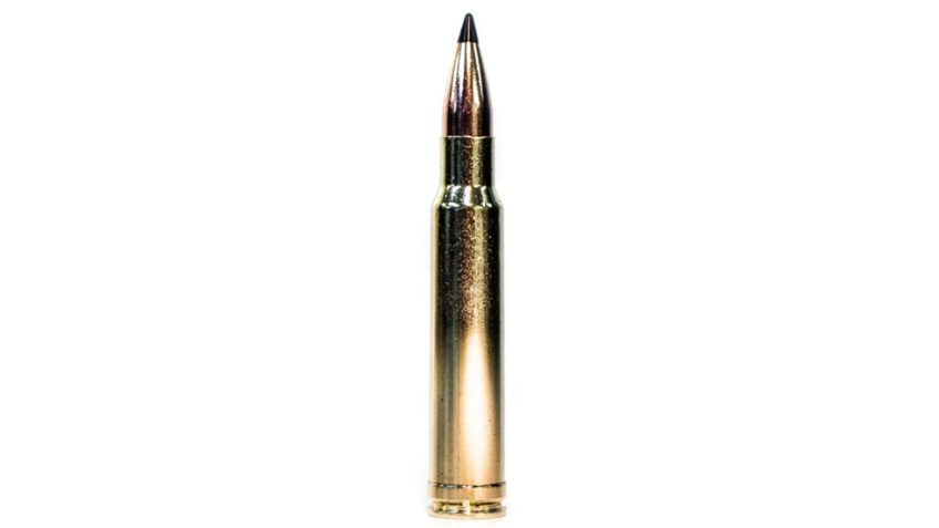 Grizzly Cartridge Co., .300 Win. Mag., Swift Scirocco Polymer-Tip BT, 165 Grain, 20 Rounds