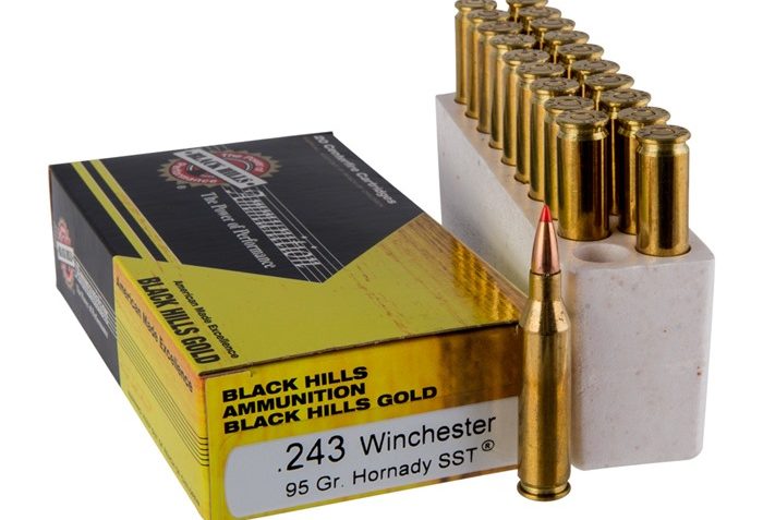 243 – 95 Grain SST Polymer Tip – Black Hills Gold – 20 Rounds