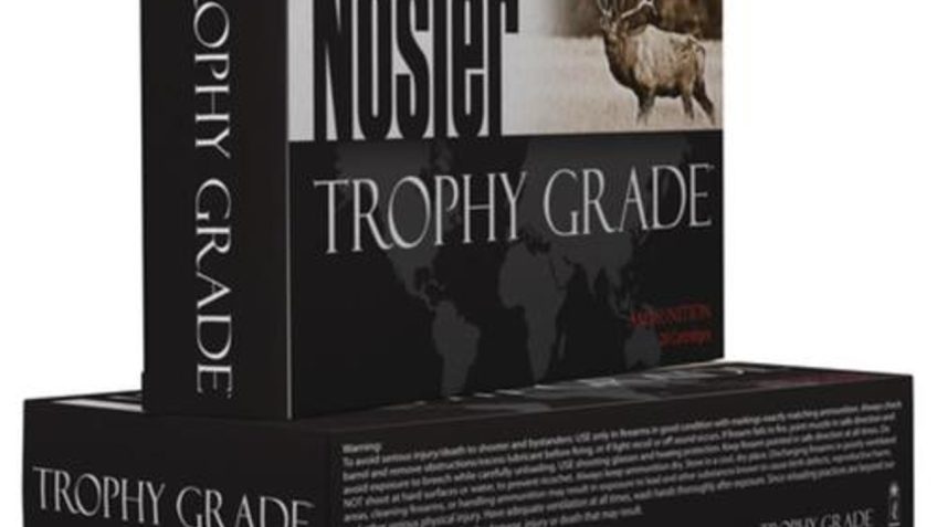 Nosler 60075 Trophy Grade 300 Winchester Magnum 180 GR E-Tip 20 Bx/ 10 CS