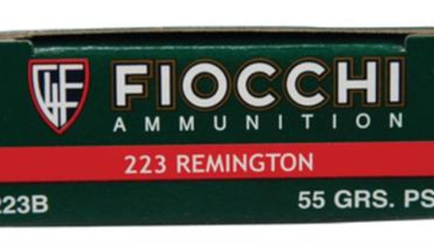 Fiocchi 223Rem 55 Grain Weight Psp 20/200 223B