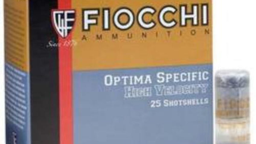 Fiocchi 12G 2.75" 1-1/5 #8 HV 12HV1158