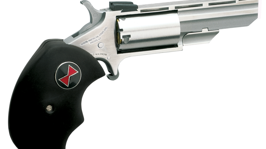 North American Arms Black Widow Convertible Single-Action Rimfire Mini Revolver with Fixed Sights – Stainless