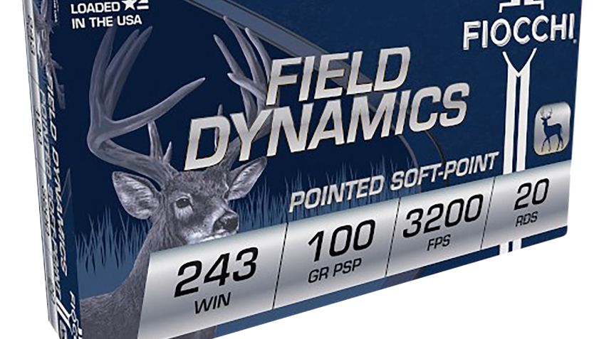 Fiocchi Shooting Dynamics .243 Winchester 100 Grain Centerfire Rifle Ammo