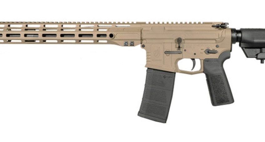 Warrior Systems WSM15 Flat Dark Earth .300 AAC Blackout 16″ Barrel 30-Rounds