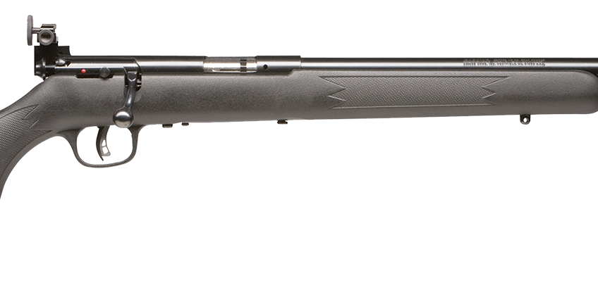 Savage Mark Ii, Sav 28800 Mkiifvt       22lr At