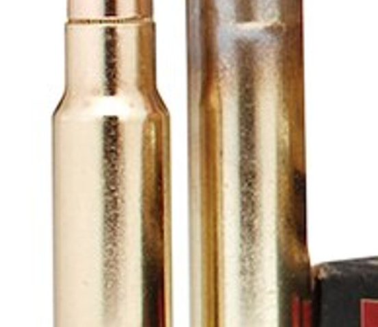 Hornady .450 Rigby 480 Grain DGS-20 Count