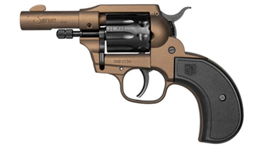 Diamondback Birdshead Sidekick Midnight Bronze .22 LR / .22 Mag 3″ Barrel 9-Rounds