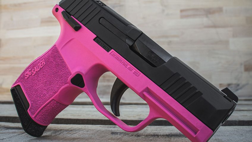 SIG P365 MICRO 380 3.1” BBL 10RD MS PINK FRAME