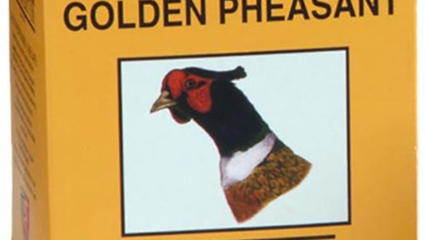 Fiocchi Golden Pheasant 28 Gauge 7/8oz 2.75in 7 1/2 Size Shotgun Ammo, 25 Rounds, 28GP75