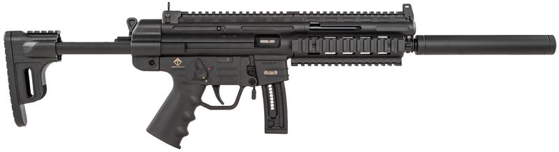 GSG-16 CARBINE RIA 22LR 16.25 SYN 10-RD