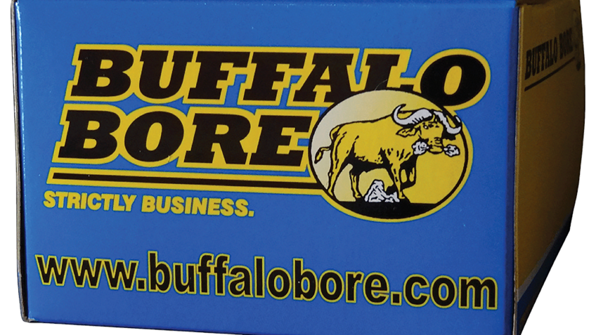 Buffalo Bore .45-70 Government 350 Grain Centerfire Rifle Ammo