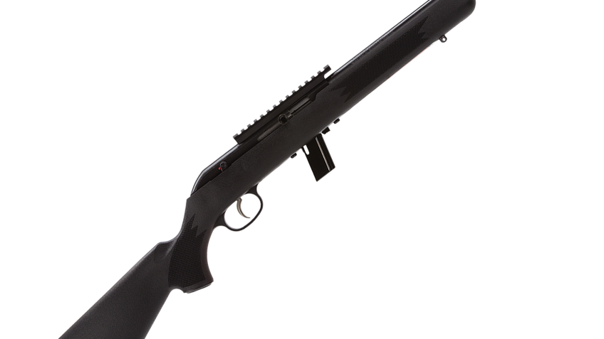 Savage Arms 64 FV-SR Semi-Auto Rimfire Rifle