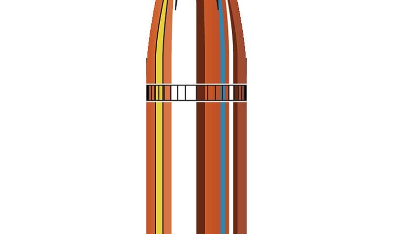 HORN BLT 30CAL 175GR SUB-X .308 100/15