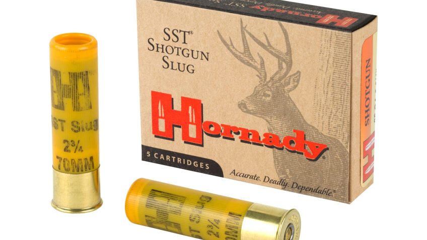 Hornady SST 20 Gauge 2.75 250 Grain Sabot Slug, 5 Round Box – Dirty Bird Industries