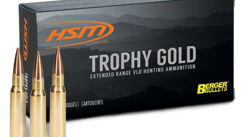 HSM 6.5 CREEDMOOR 140VLD-L 140 TROPHY GOLD BRASS 20/25