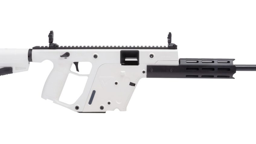 KRISS VECTOR CRB G2 22LR 16 FXD STOCK 10RD ALPIN