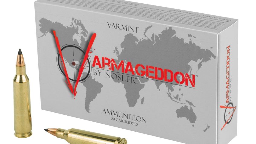 NOSLER Varmageddon 22-250 Remington 55 Grain Flat Base Tipped, 20 Round Box – Dirty Bird Industries