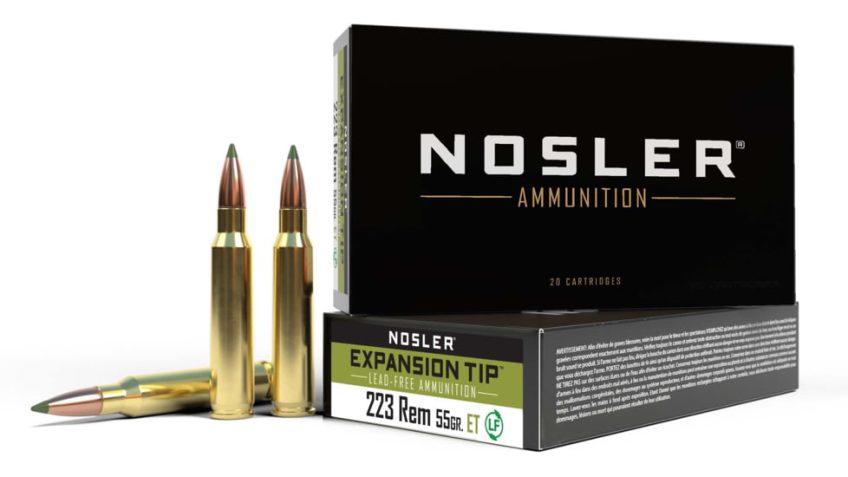 223 Remington 55gr E-Tip (20 ct.) Ammunition