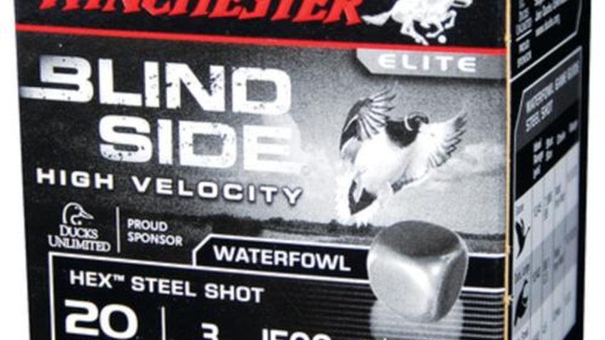 WINCHESTER Blind Side 20Ga 7/8oz 3in #3 25rd Box Shotshells (SBS203HV3)