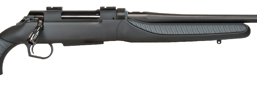 THOMPSON CENTER Dimension .243 Win 22in 3rd Bolt-Action Rifle (10278402)