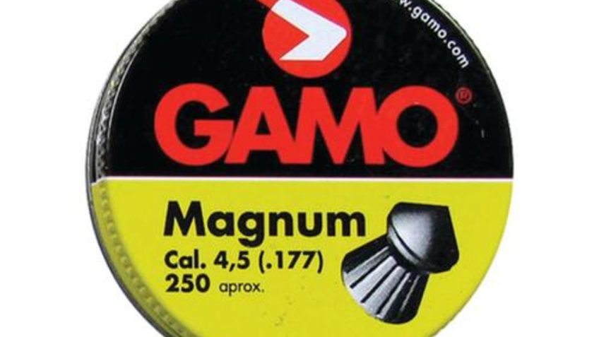 GAMO Master Point Pellets, 177PEL, Spire Point Tin, 250 Pack (632063454)