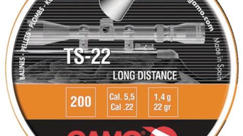 Gamo TS-22, .22 Caliber Pellet, Flat Nose, 200 Per Pack 632176854